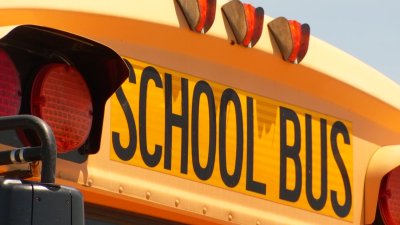 School Bus Driver Not Facing Charges After 6-Year-Old's Death: DPS