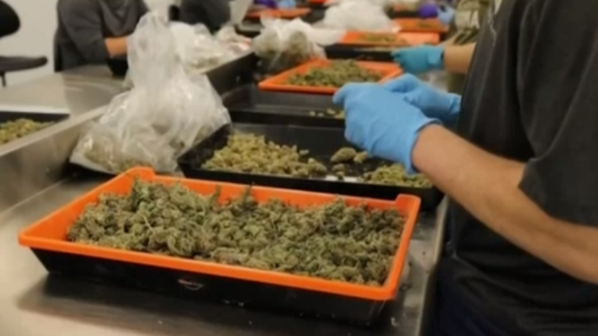 There�s a legal weed sold in Texas. But can you get high on it