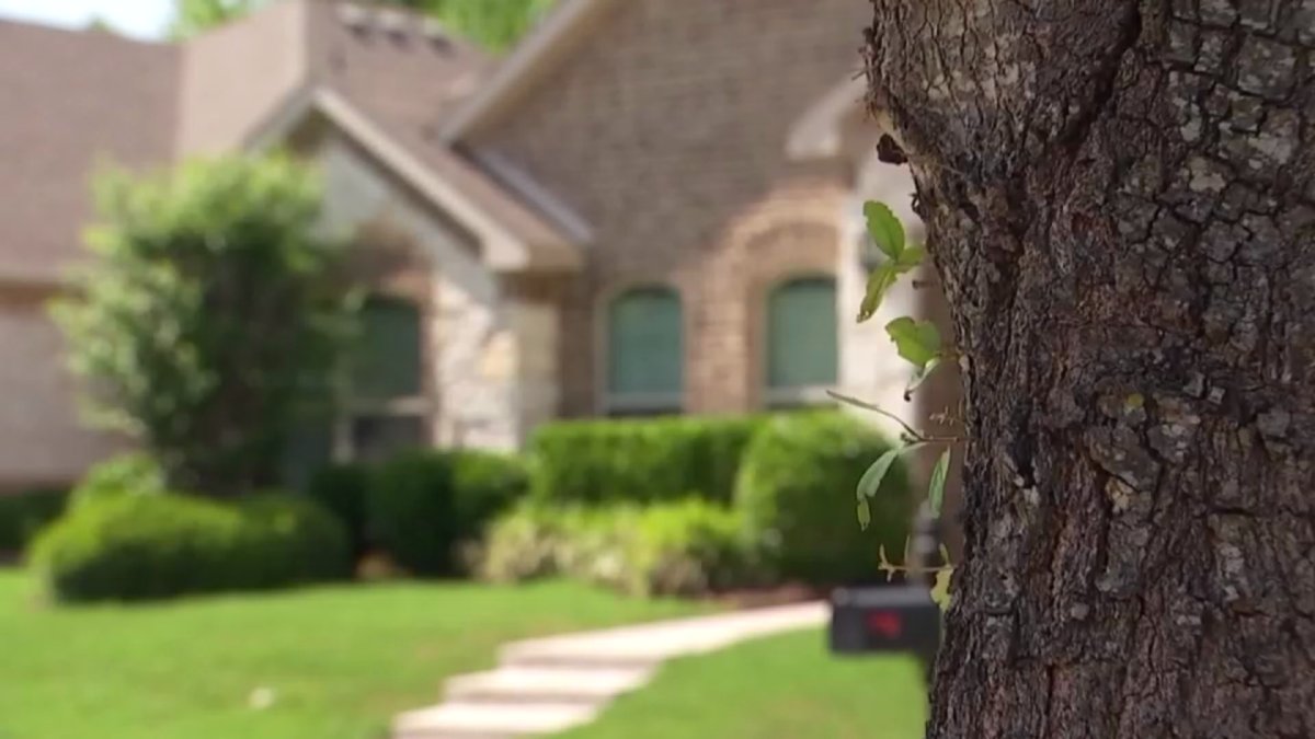 How Protesting Your Property Tax Appraisals Could Work NBC 5 Dallas