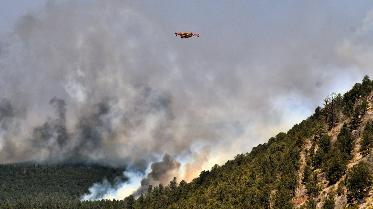 Biden Declares Disaster in New Mexico for Largest Wildfire in US – NBC 5 Dallas-Fort Worth - Vimarsana News