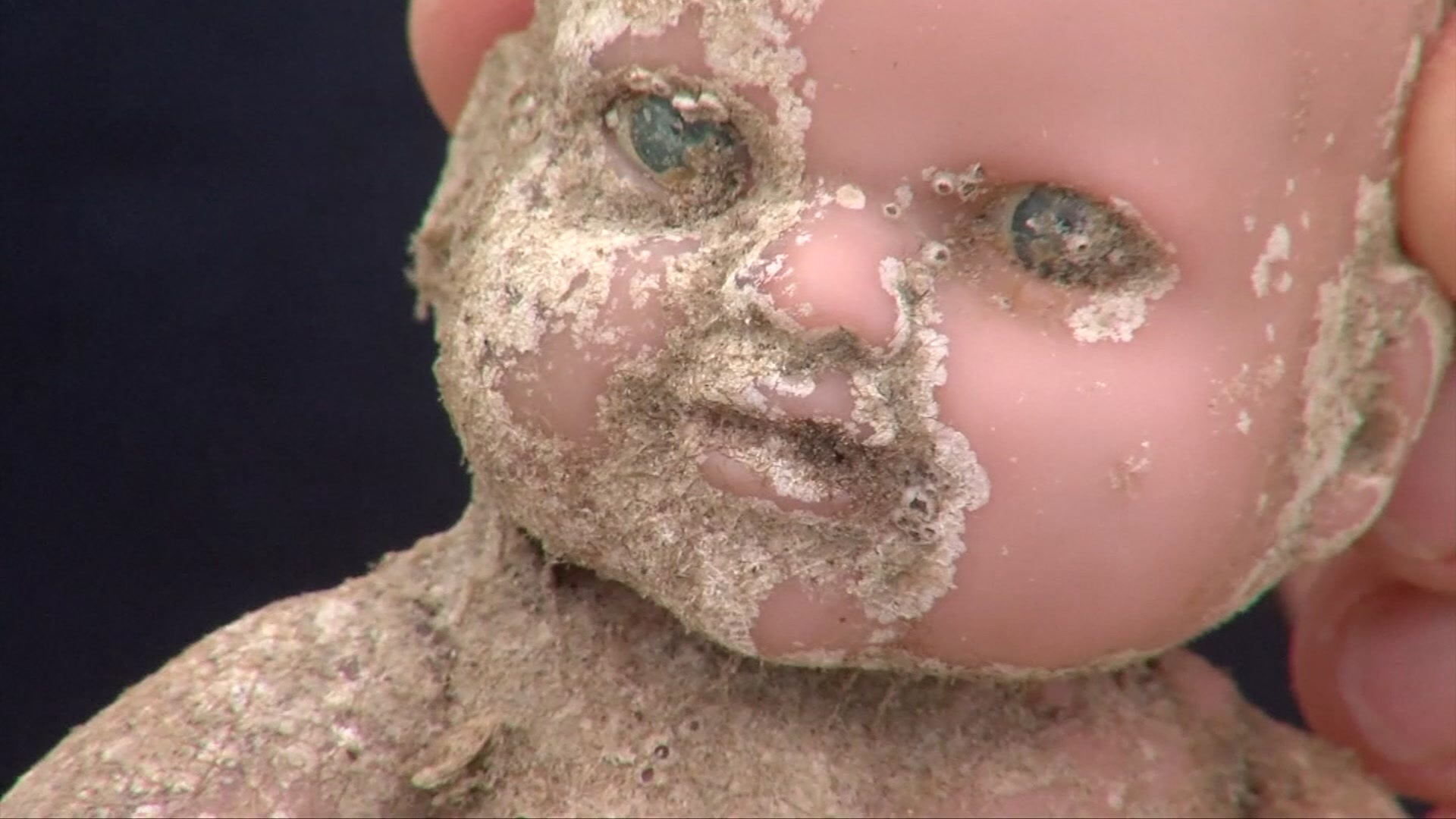 Creepy Dolls Keep Washing Up on Texas Beaches – NBC 5 Dallas-Fort