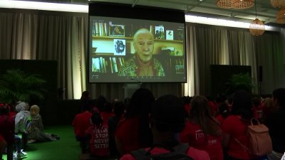 Exhibit Highlighting Jane Goodall Opens at Perot Museum