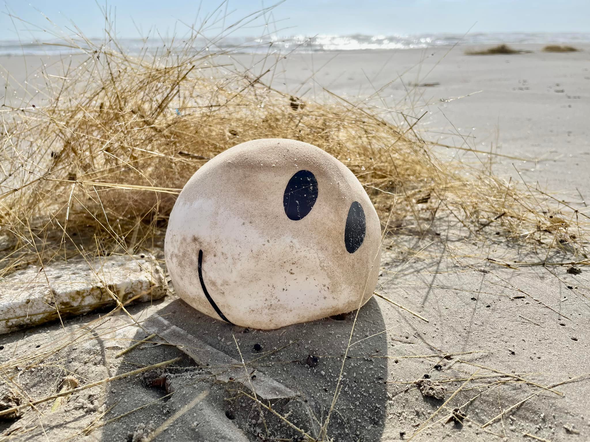 PHOTOS: Creepy Dolls Wash Ashore on Padre Island NBC 5 Dallas-Fort Worth PHOTOS: Creepy Dolls Wash Ashore on Padre Island NBC 5 Dallas-Fort Worth