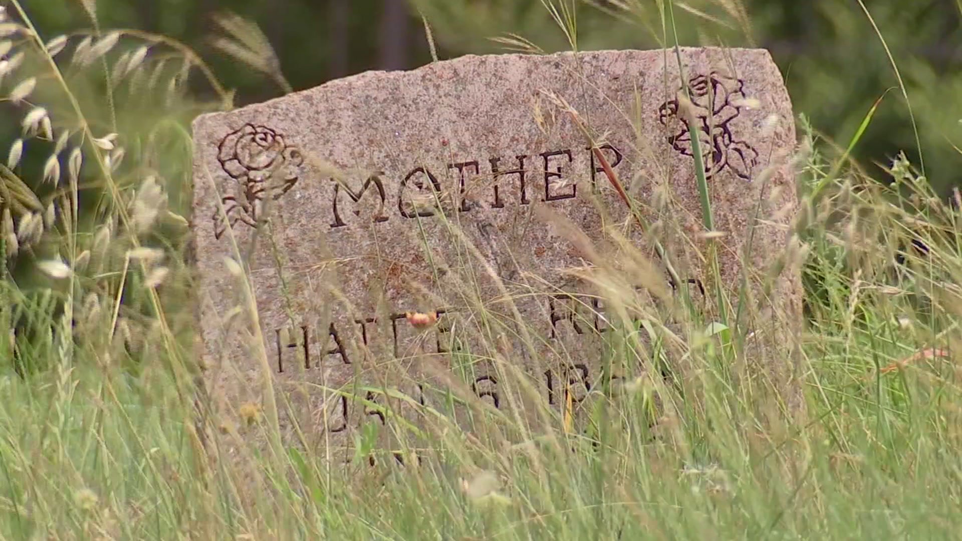 Old Dan And Little Anns Grave