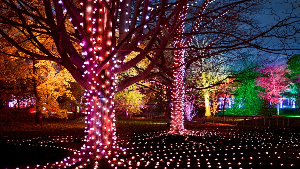 New Holiday Light Display Coming to North Texas – NBC 5 Dallas-Fort Worth - Vimarsana News