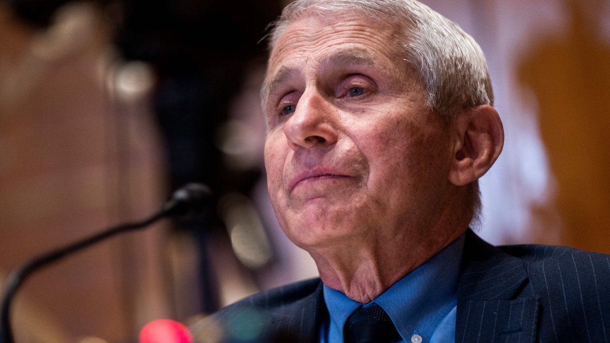 Rand Paul moves to refer Anthony Fauci to Justice Department