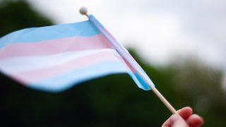 hand holds up transgender pride flag against sky