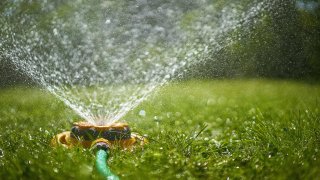 Surface level view of backyard sprinkler spraying