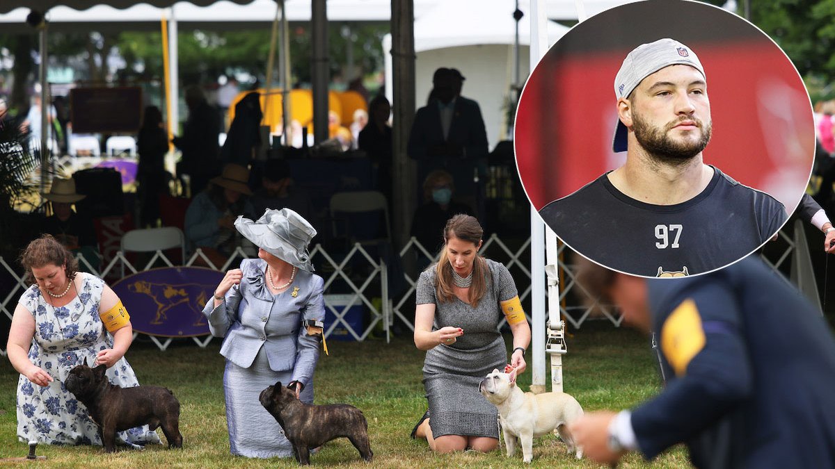 Westminster Dog Show Gets 4 Finalists, and One Has NFL Ties – NBC 5 Dallas-Fort Worth - Vimarsana News