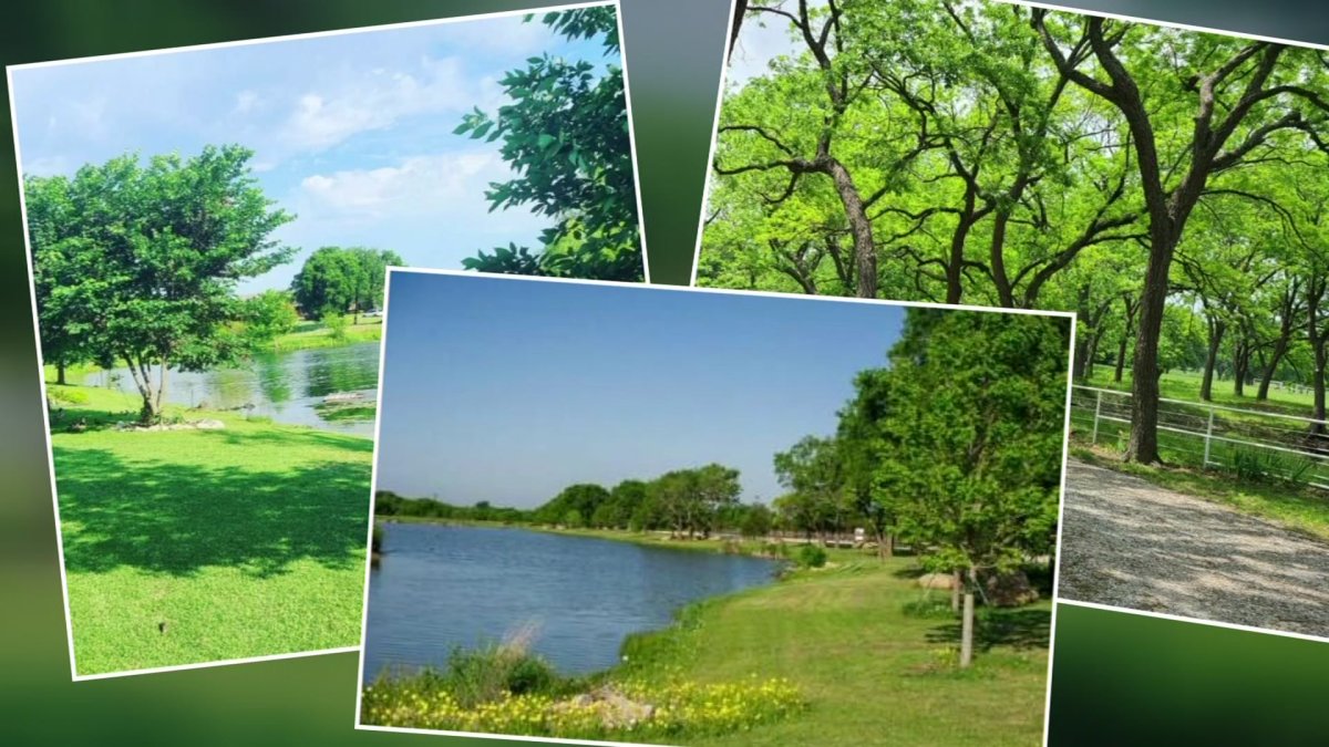North Texas Garden Club Makes Comeback – NBC 5 Dallas-Fort Worth - Vimarsana News