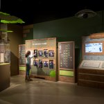 Becoming the genealogical trees of the Jane Perot Museum