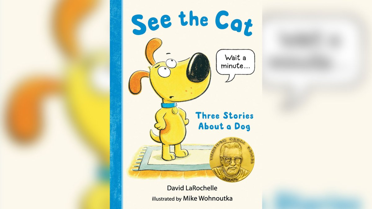 Reading With You Book of the Week: ‘See the Cat: Three Stories About a ...