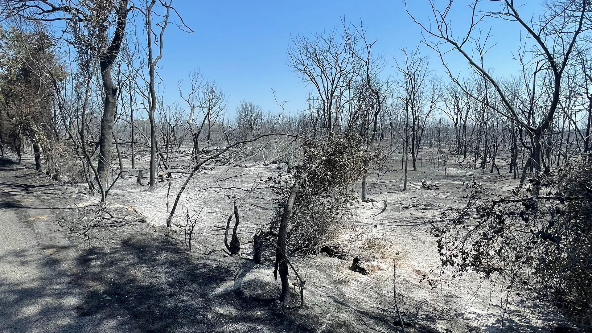 Chalk Mountain Wildfire Scorches 6,000 Acres in North Texas NBC 5