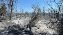 Scorched land after a wildfire burned through Somervell County, Texas, July 19, 2022.