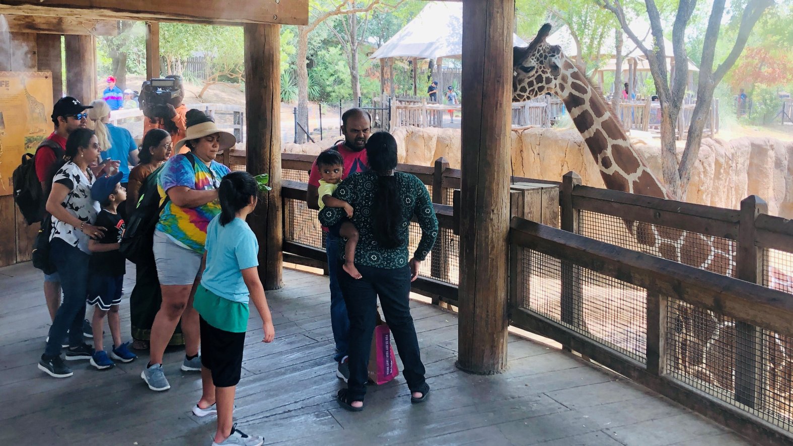 How the Dallas Zoo Kept Visitors Cool on Dollar Day NBC 5 DallasFort