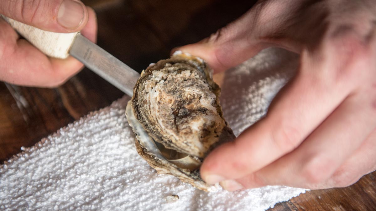 Florida Man Who Died Possibly From Bacteria in Raw Oysters Also Had