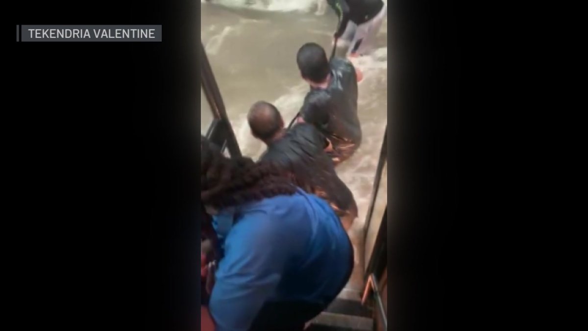 WATCH: Dallas ISD Bus Driver & Monitor Help in Flood Rescue – NBC 5 Dallas-Fort Worth - Vimarsana News