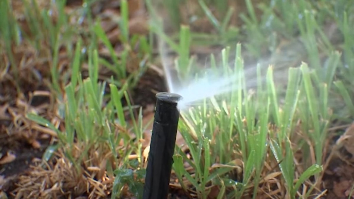 How to Care for Your Lawn During the Fall, Winter in North Texas