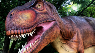 Tyrannosaurus rex at The Heard Museum