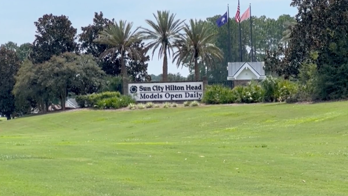 88-Year-Old Killed in Alligator Attack Near Hilton Head, South Carolina – NBC 5 Dallas-Fort Worth - Vimarsana News