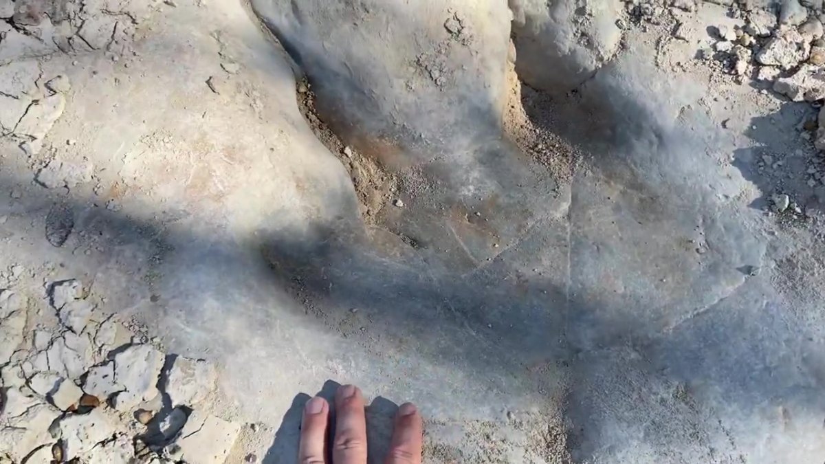 Texas Dinosaur Tracks Emerge From Drought Conditions – NBC 5 Dallas