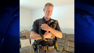 A Pelham, New Hampshire, police sergeant holding a puppy that was rescued after being stuck in a recliner.