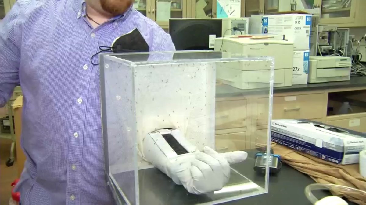 New Material Protects Against Mosquito Bites NBC 5 DallasFort Worth