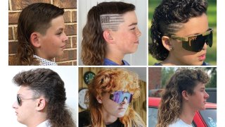 An assortment of mullets.