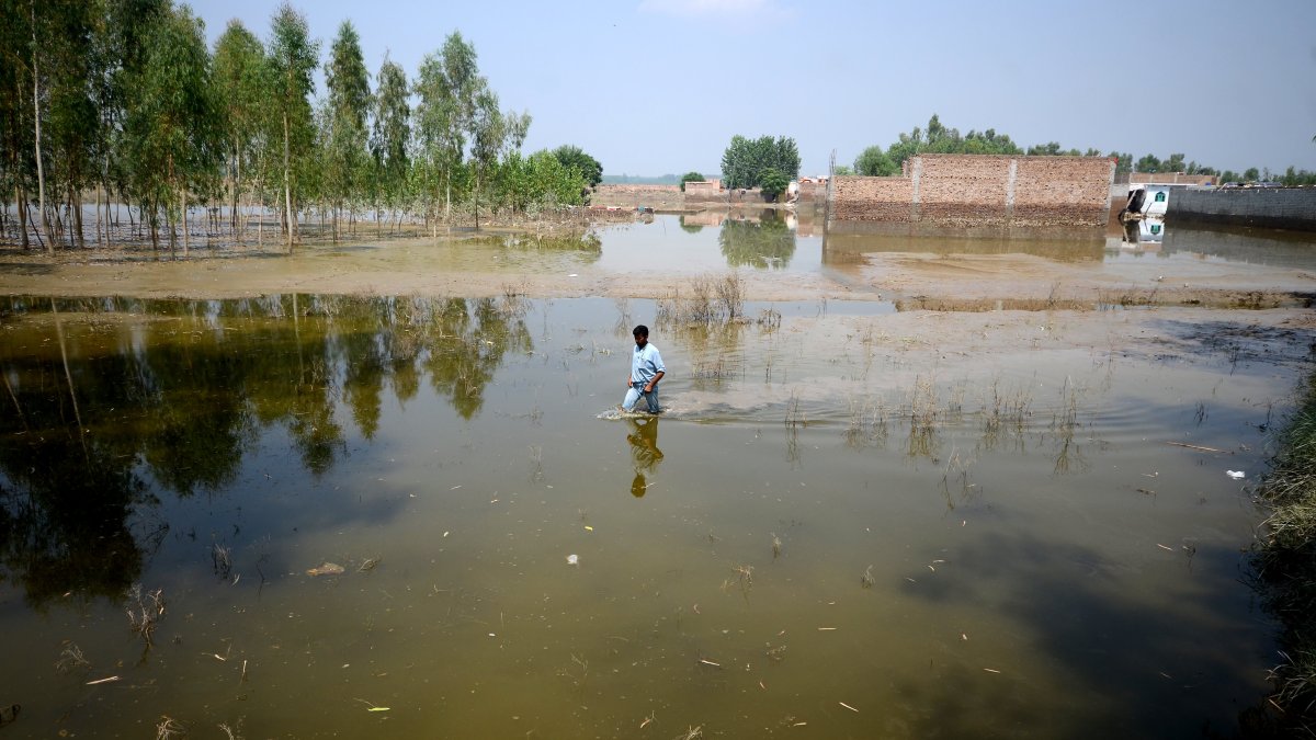 'Climate Disaster of Biblical Proportions': Pakistan Minister Warns Flood Damage Will Exceed $10 Billion – NBC 5 Dallas-Fort Worth - Vimarsana News