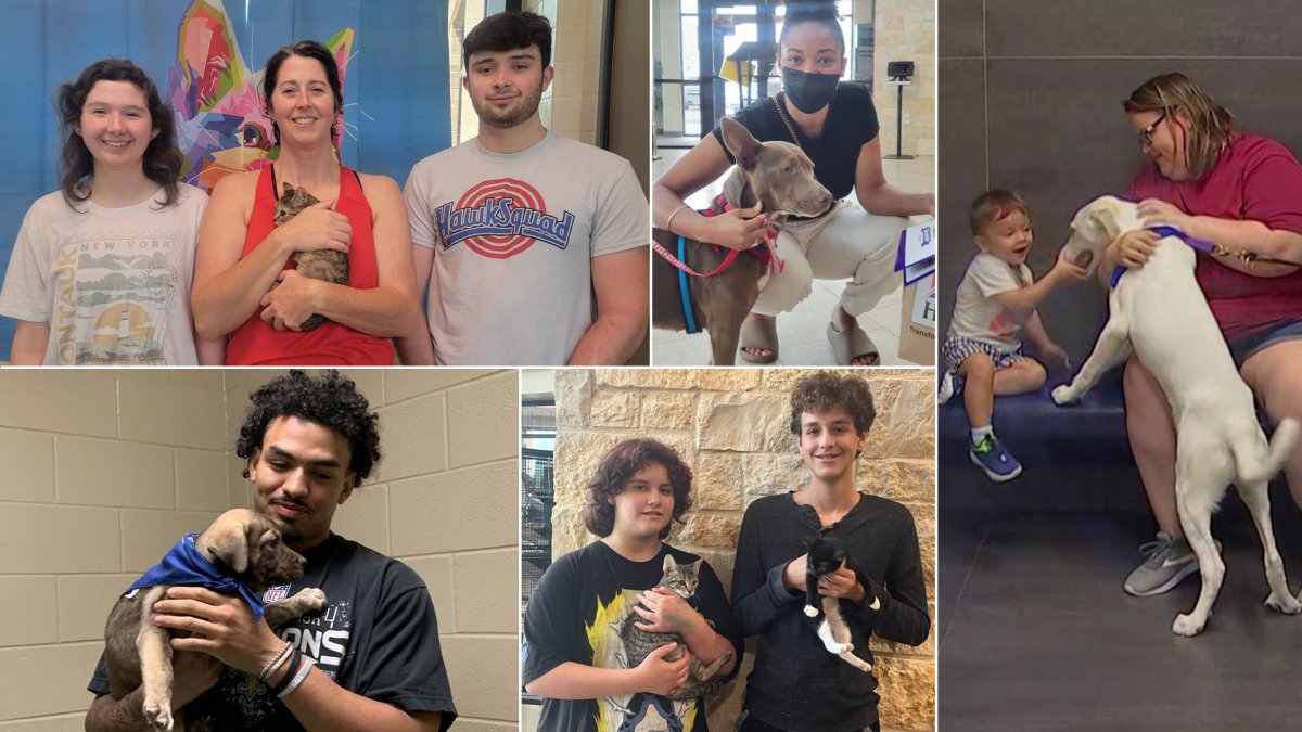 7,700+ Pets Adopted During Clear the Shelters – NBC 5 Dallas-Fort Worth - Vimarsana News