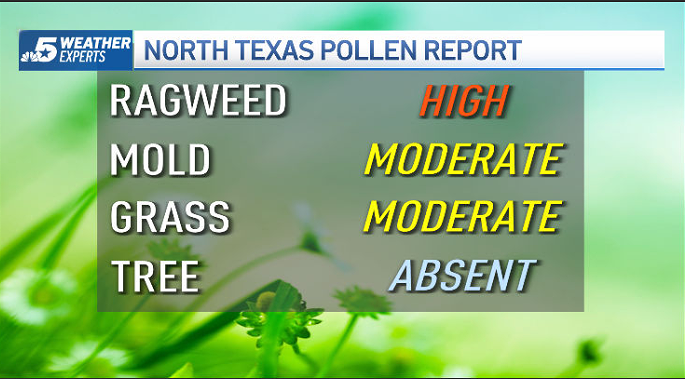 It’s Ragweed Season in Texas, But It Might Be Over Soon – NBC 5 Dallas ...