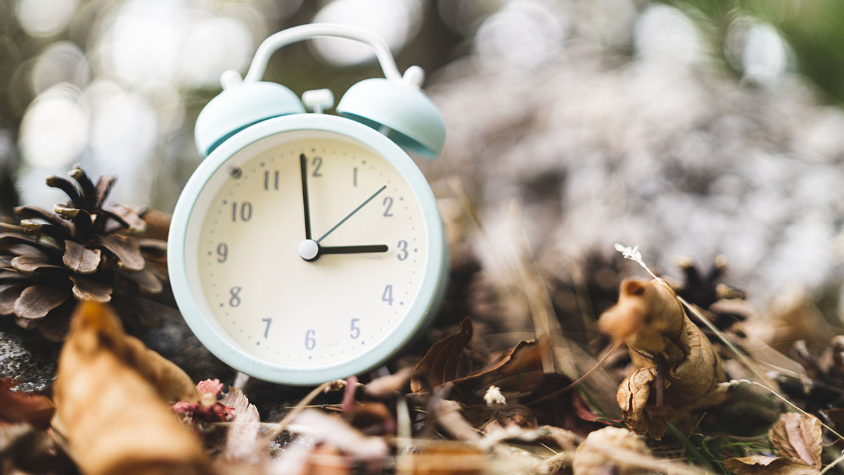 9 books about night as we “fall back” for daylight saving time