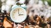 It's Almost Time to ‘Fall Back': When Is Daylight Saving Time?