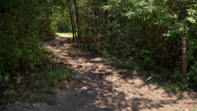 Flooding Concerns Prompt Pushes for New Development Standards in Dallas