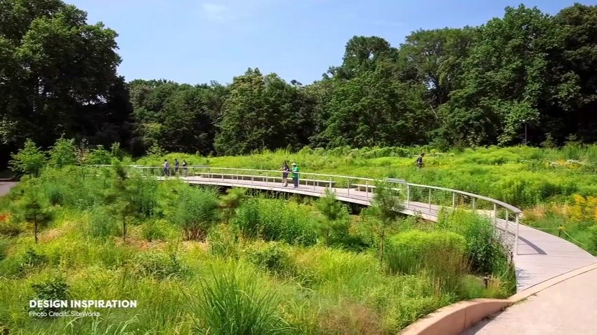Dallas Water Commons Project Transforms Wetland