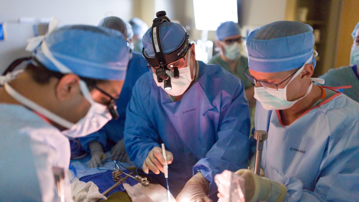 How Organ Donation Works in the United States – NBC 5 Dallas-Fort Worth - Vimarsana News