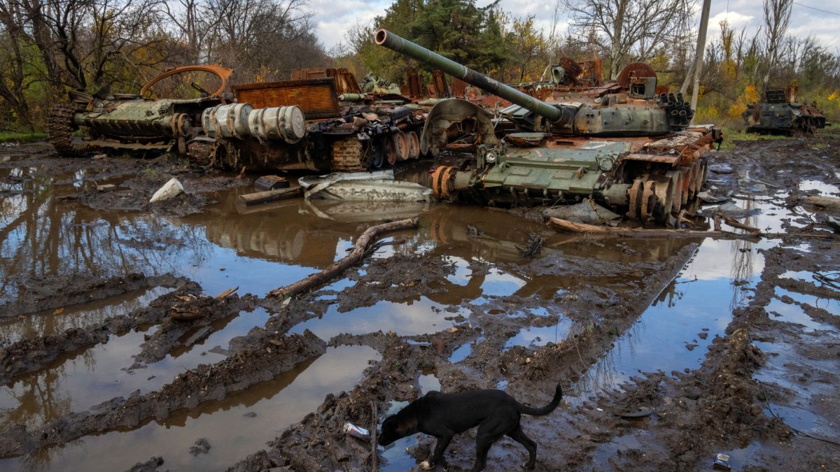 Ukraine Cities Kyiv, Kharkiv Hit With Russian Attack – NBC 5 Dallas-Fort Worth - Vimarsana News