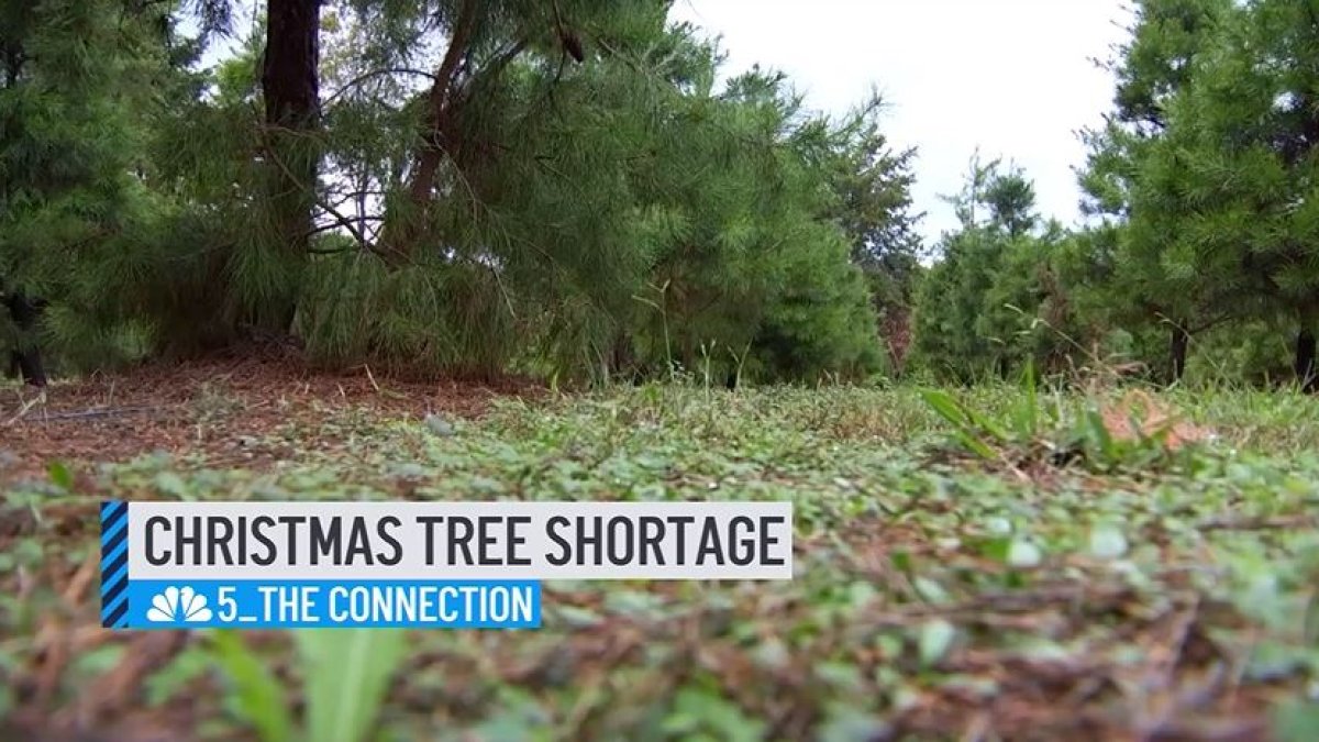 Christmas Tree Shortage The Connection NBC 5 DallasFort Worth