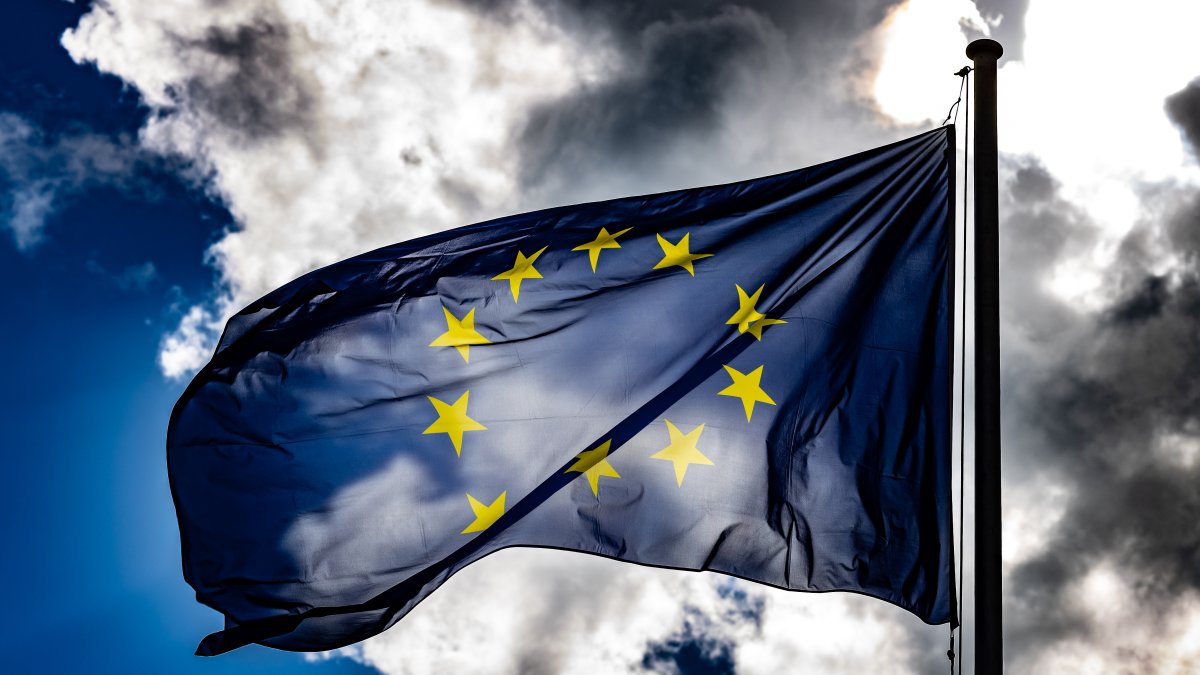 EU Approves 2035. Ban on New Gas and Diesel Cars – NBC 5 Dallas-Fort Worth - Vimarsana News