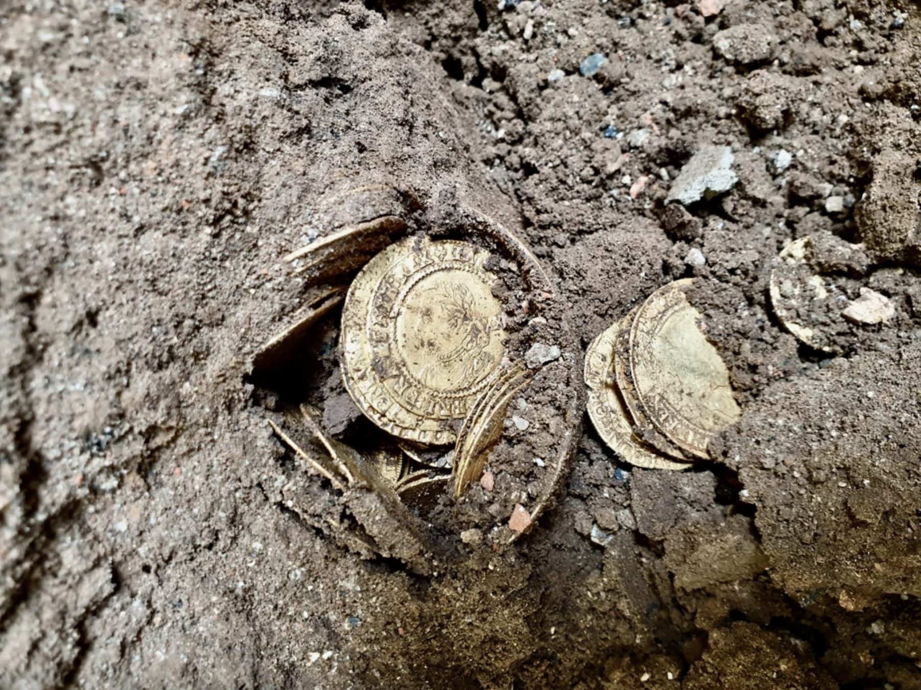 Couple Finds Rare Coins Worth Over $800,000 While Renovating Their
Kitchen Floors