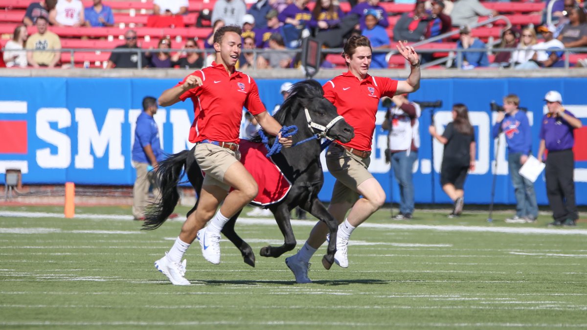 SMU-Navy Football Game Delayed After Pony Mascot Defecates on Field – NBC 5  Dallas-Fort Worth