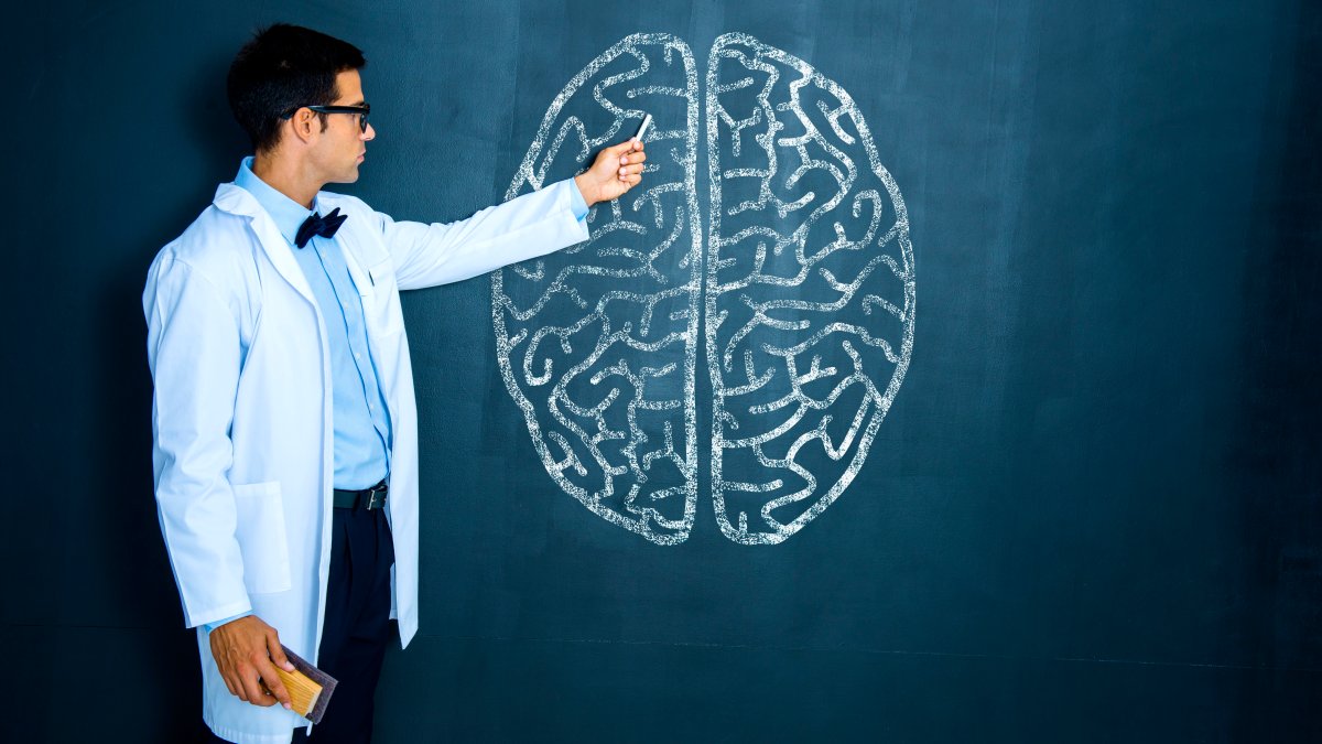 A Brain Expert Shares His 7 'Hard Rules' for Boosting Memory and Fighting Off Dementia – NBC 5 Dallas-Fort Worth - Vimarsana News