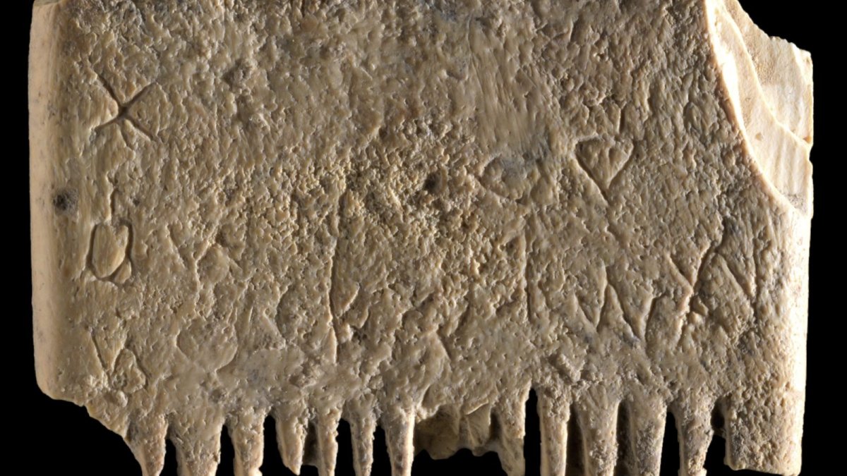 Archaeologists in Israel Find Ancient Comb With an Important Message About Lice – NBC 5 Dallas-Fort Worth - Vimarsana News
