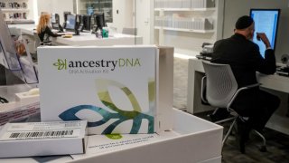 holocaust survivors offered dna tests to help find long lost family members