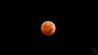PHOTOS: Total Lunar Eclipse Over North Texas 2022
