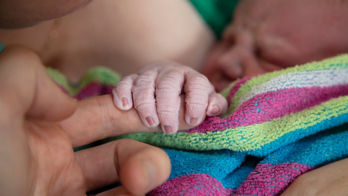 Home Births Increased in the US During COVID-19, Data Shows – NBC 5 Dallas-Fort Worth - Vimarsana News