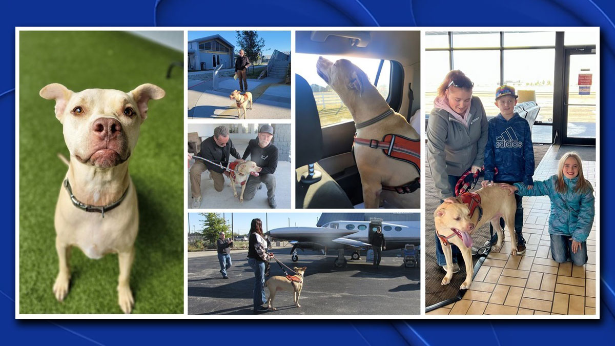 Family Who Left Galveston for Wyoming Reunited With Lost Dog 5 Years
Later