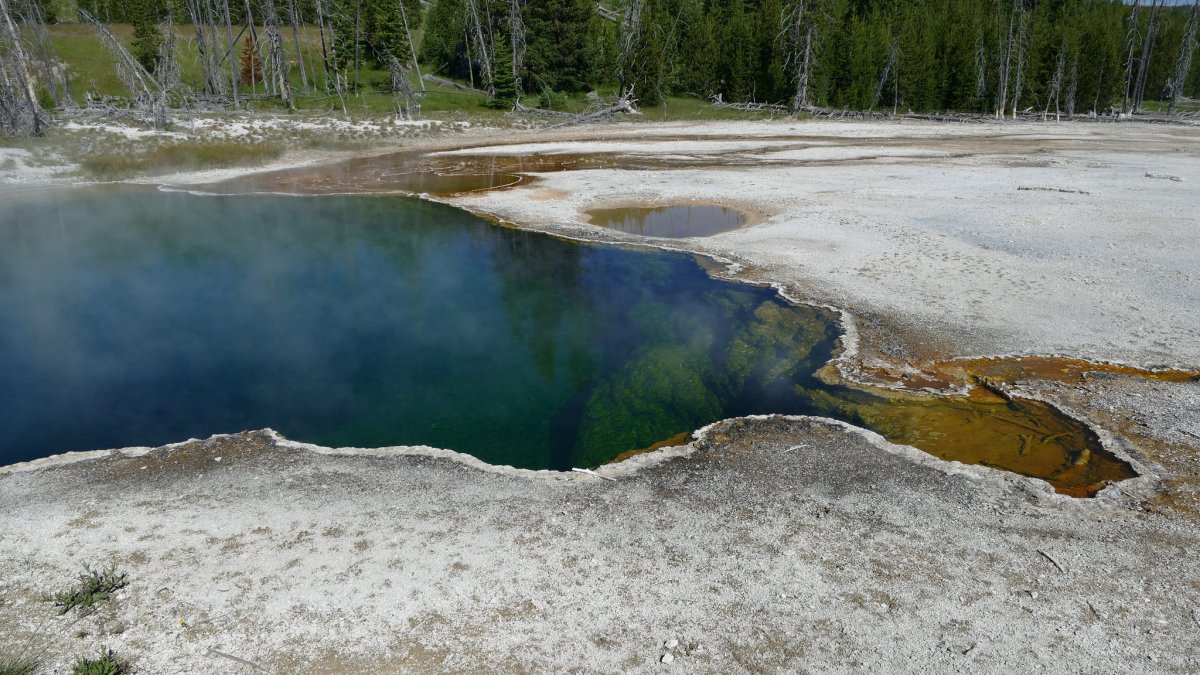 LA Man's Foot Found Floating in Yellowstone Hot Spring – NBC 5 Dallas-Fort Worth - Vimarsana News
