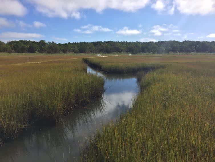 EPA Issues Clean Water Rule That Repeals Trump Administration Changes - Vimarsana News