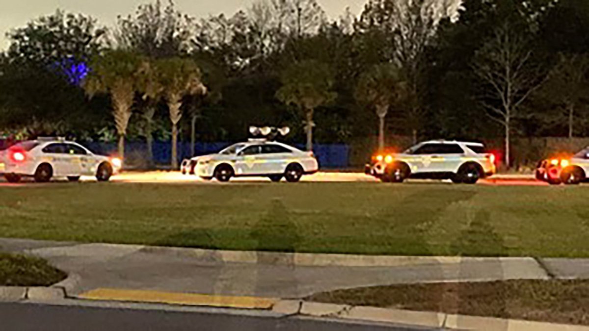 Zookeeper Injured During Bear Attack at Jacksonville Zoo – NBC 5 Dallas-Fort Worth - Vimarsana News